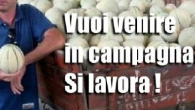 Agricoltura, &egrave; boom di offerte di posti di lavoro