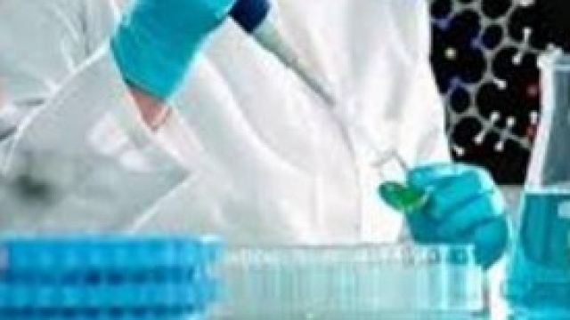 Metodo Stamina: il perch&egrave; dei dubbi.