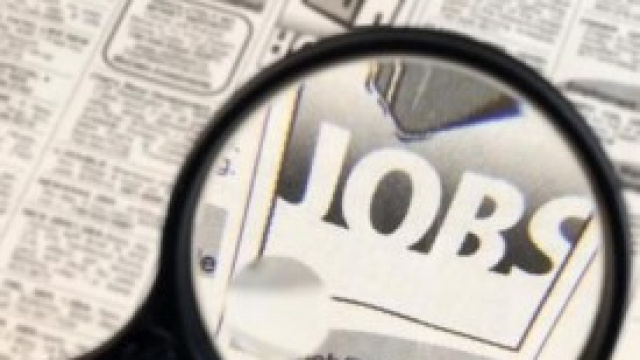 Offerte di lavoro: Alcott cerca personale