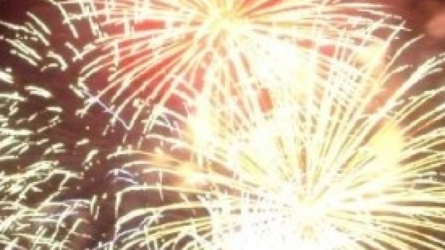 Consigli per i nostri animali per Capodanno