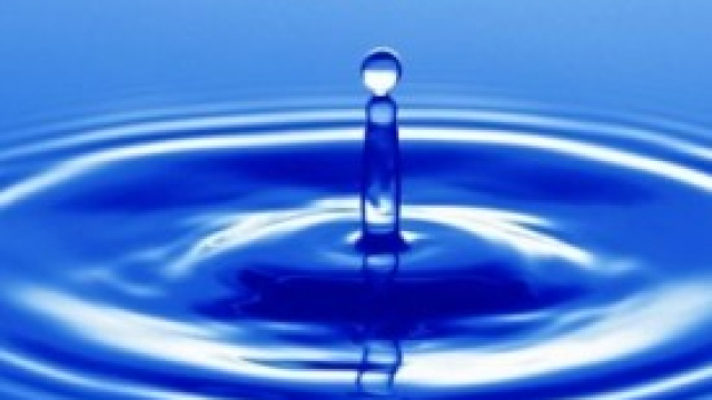 Oroscopo 2014: i segni di acqua.