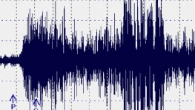 Terremoto 29 dicembre: trema la terra