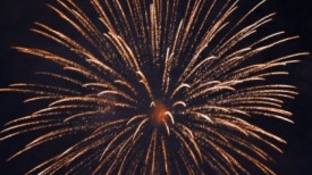 Capodanno 2014: i concerti