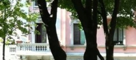 news-image