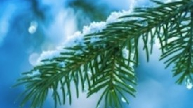 Itinerari per le vacanze invernali in Trentino