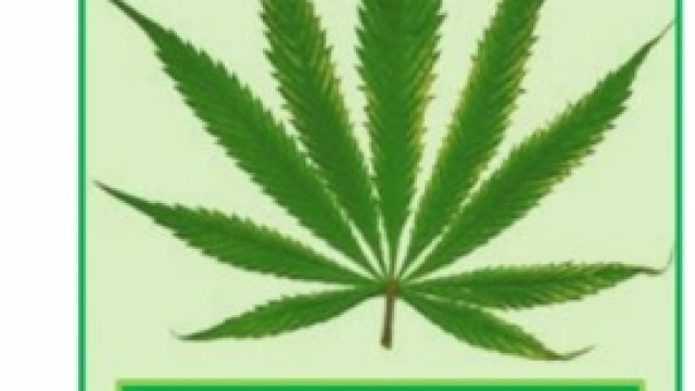 Foglia di Marijuana, simbolo della legalizzazione