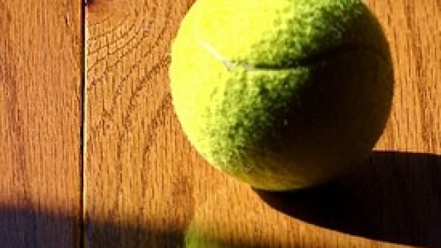 Australian Open 2014, gli azzurri in gara