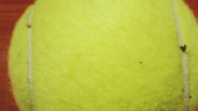 Pronostici e quote Snai Australian Op&egrave;en 2014