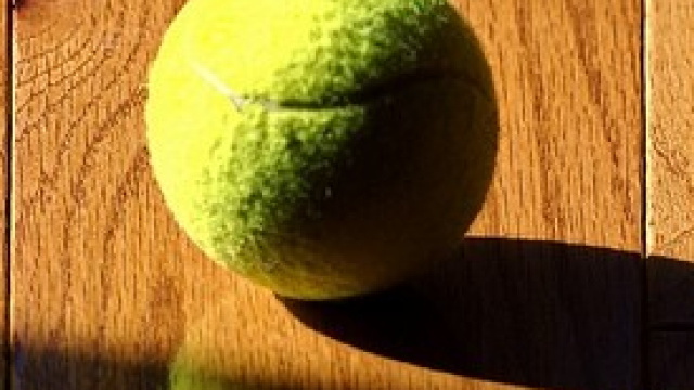 Australian Open, risultati