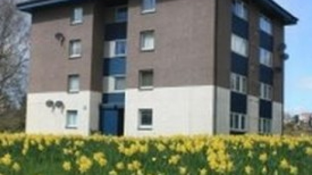 Come calcolare la mini Imu.