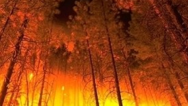Un incendio boschivo come quelli della ricerca