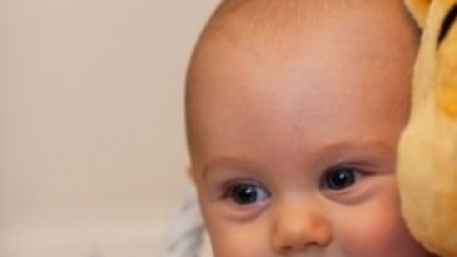 Bonus beb&egrave; 2014 Toscana Legge Regionale.