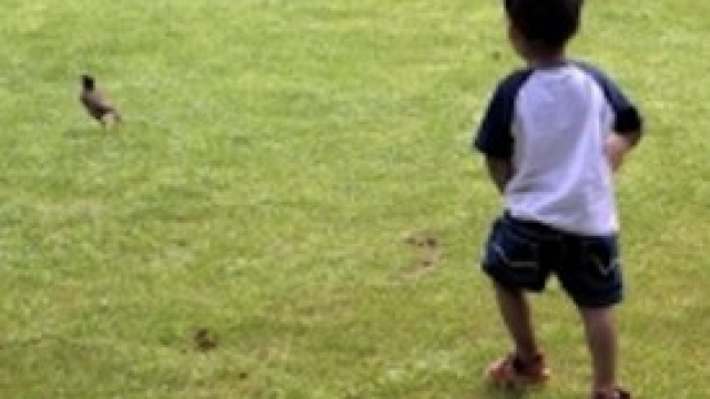 I bambini giocano per imparare