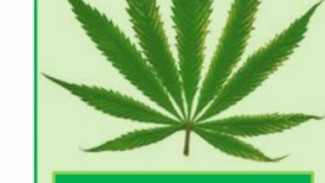 Legalizzazione della Marijuana a Torino