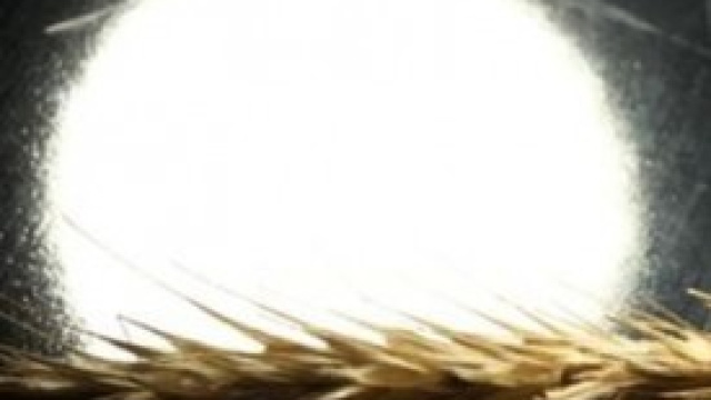 Le previsioni meteo di gennaio 2014.