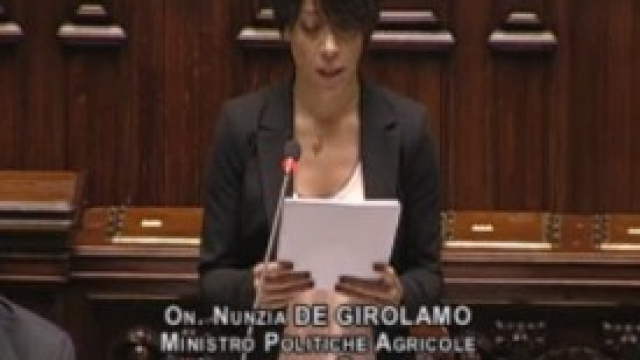 Ministro De Girolamo, Camera Deputati, 17 gennaio