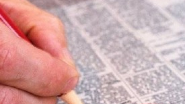 Offerte di lavoro e stage: Ovs assume personale 