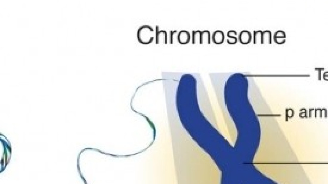 Combattere il cancro con le bombe antitumorali?