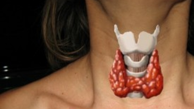 La struttura della tiroide