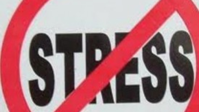 i 5 rimedi per superare efficacemente lo stress 