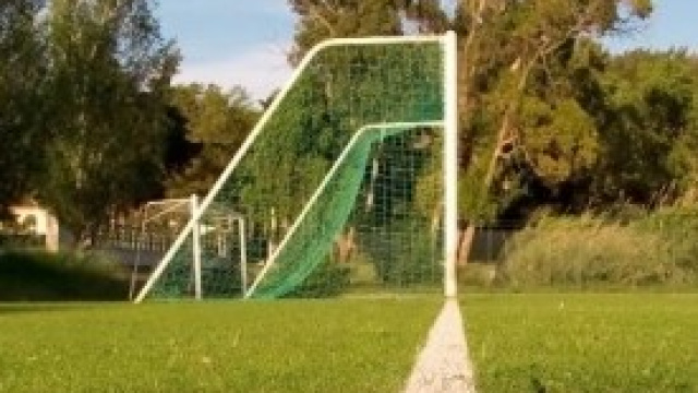 Calcio: pronostici partite del 25 gennaio 2014