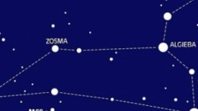 Oroscopo e ascendenti 2014 Leone 