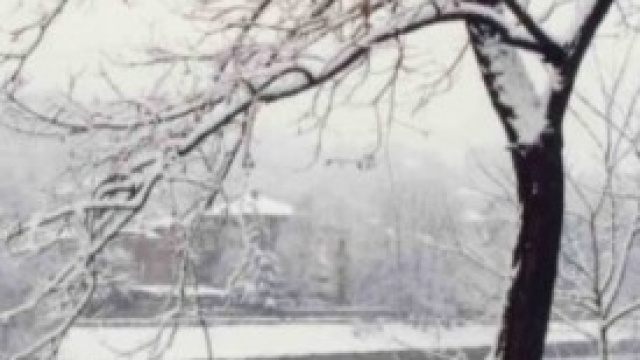 Previsioni Meteo 27-31 gennaio 2014