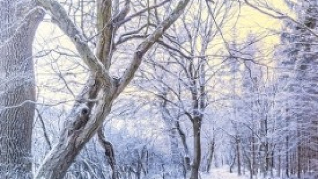 Maltempo in Italia: arriva il gelo