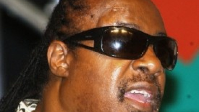 Stevie Wonder il cantante