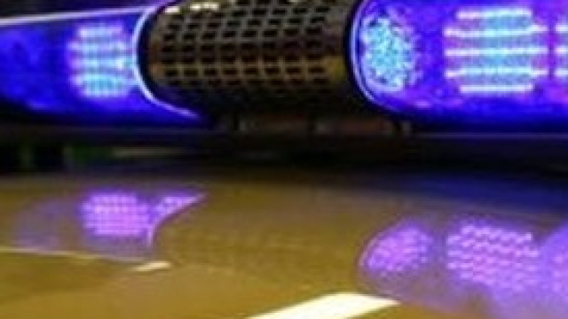 Arrestata falsa organizzazione bio per truffa.