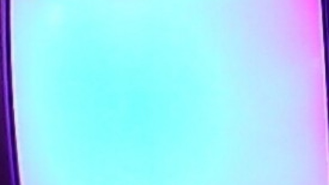 programmi di mercoled&igrave; 29 gennaio 