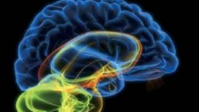 Malattia di Alzheimer: arriva la vitamina E