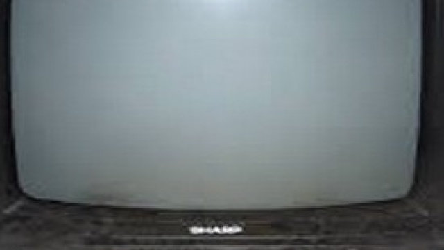 Guida Tv del 7 gennaio 2014