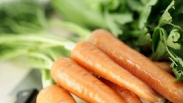 Dieta Dukan dannosa per la salute?