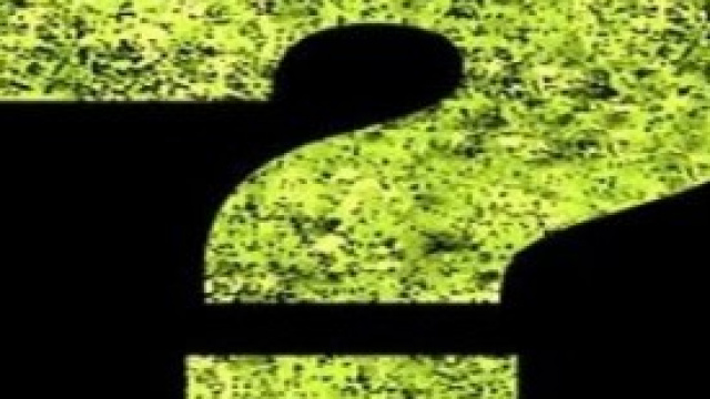 Legalizzazione della marijuana, le posizioni.