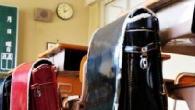 Scuola, proposte M5S e Pd reclutamento docenti.