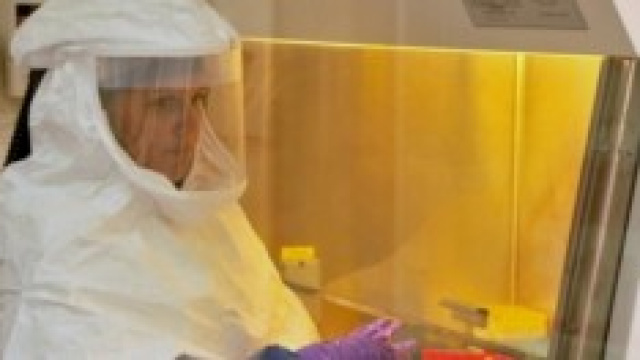 Virus Ebola 2014: paragonato all'Aids