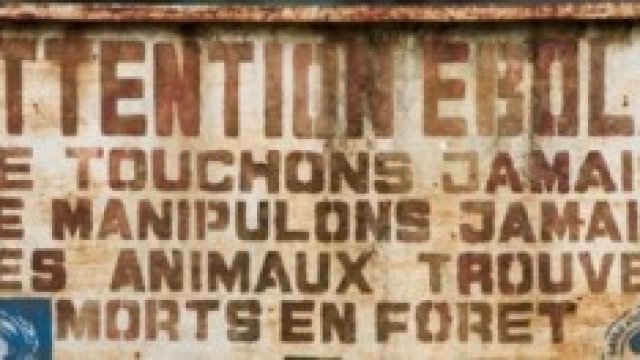 Ebola, quasi 4.000 morti in Africa occidentale 