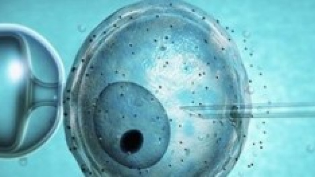 Come avviene la fecondazione eterologa