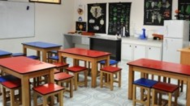 Tfa e Pas fuori dalle GaE: dichiarazioni Bruschi