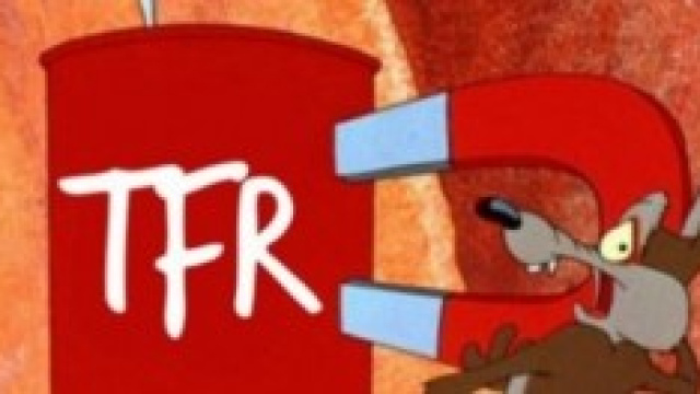 Tfr in busta paga: come funzioner&agrave;