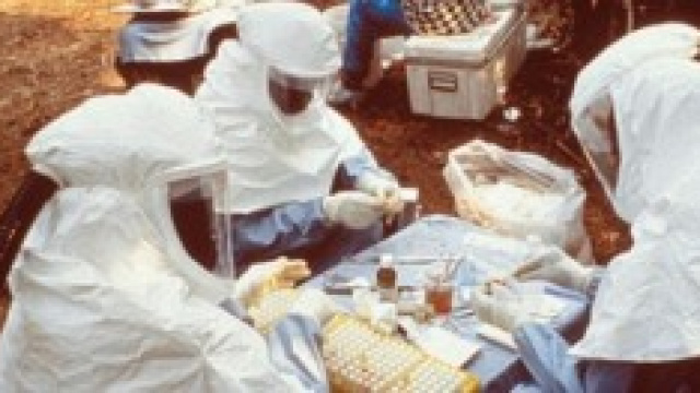 Ebola, perch&egrave; non riusciamo a contrastarla?