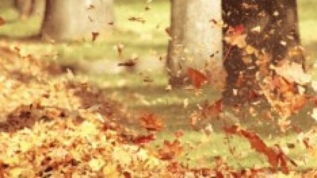 Previsioni meteo ottobre novembre, caldo e pioggia