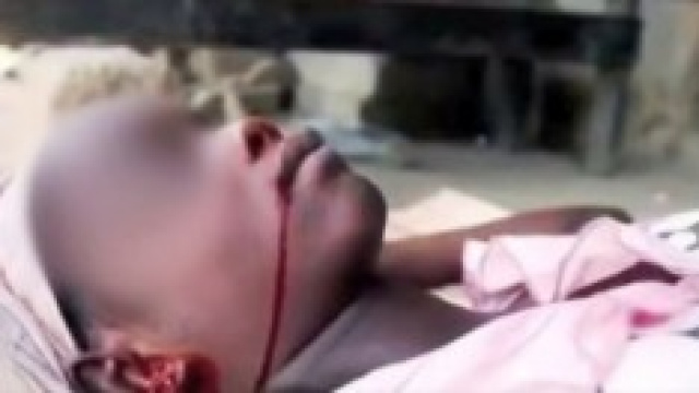 Virus Ebola come &egrave; nato e si &egrave; diffuso