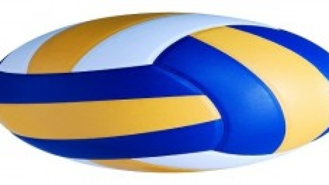 Pallavolo femminile Mondiali 2014 