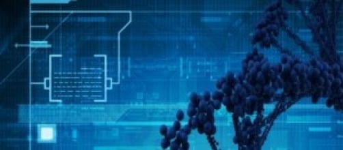 La ciencia de la Bioinform&aacute;tica