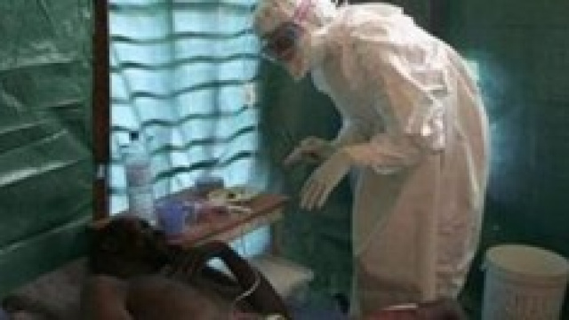 Virus Ebola 2014, news al 21/10: l&rsquo;Italia rischia?