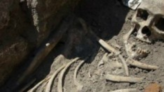 Scheletro di un presunto Vampiro