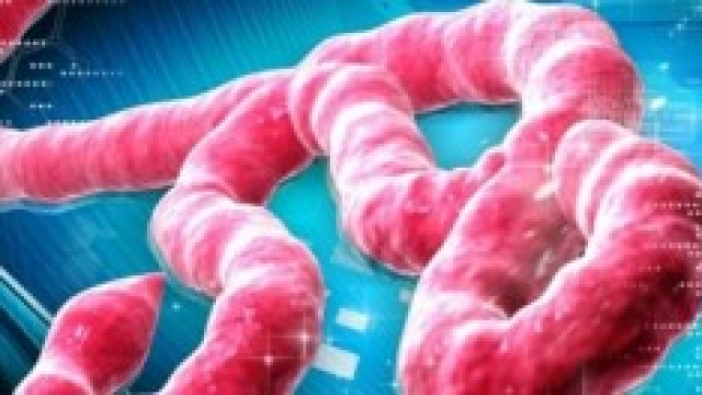 virus ebola come da laboratotio