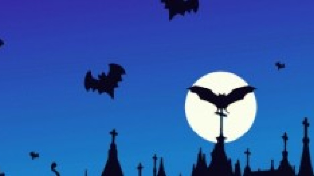 Halloween 2014, feste e concerti in citt&agrave;